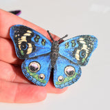 blue butterfly wings shoe clips
